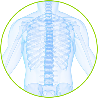 spinal fusion